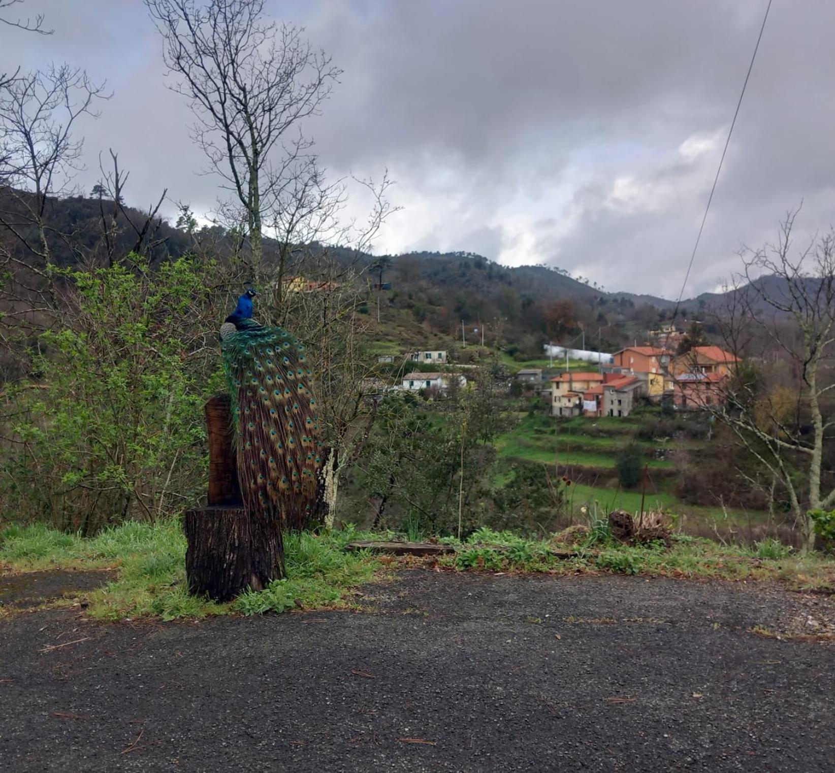 La Valle Fiorita Soviore Exterior photo