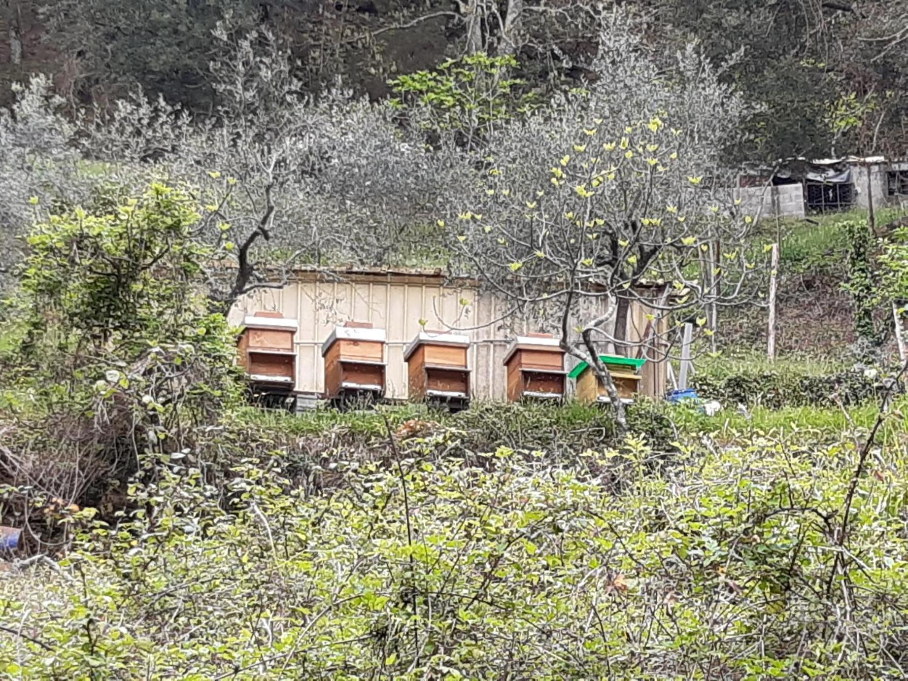 La Valle Fiorita Soviore Exterior photo